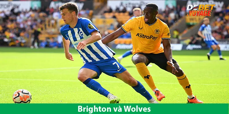 Dự Đoán Kèo Bóng Brighton vs Wolves 21h00 Ngày 26/10
